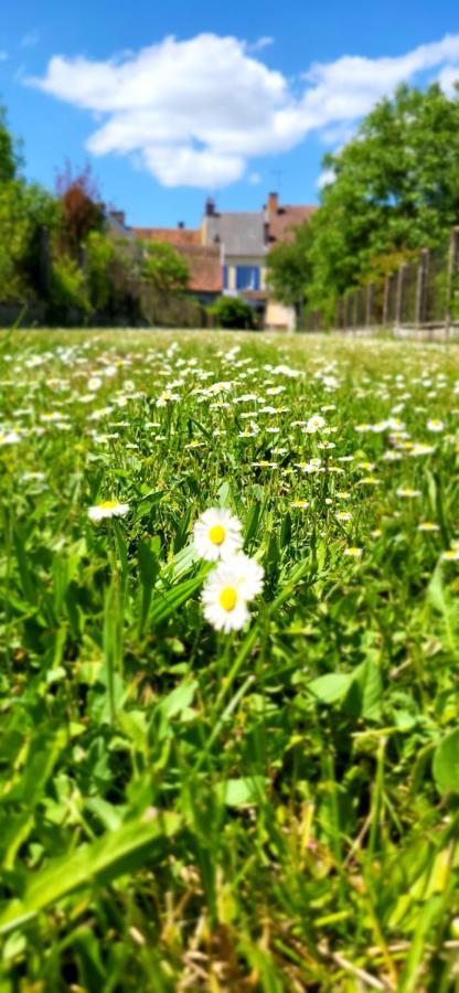 Le Gite Du Nohain Entrains-sur-Nohain ภายนอก รูปภาพ