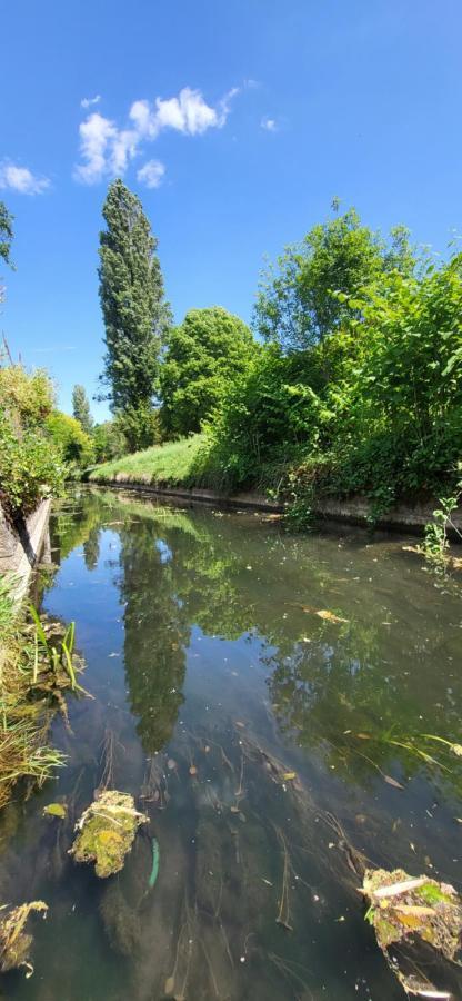 Le Gite Du Nohain Entrains-sur-Nohain ภายนอก รูปภาพ